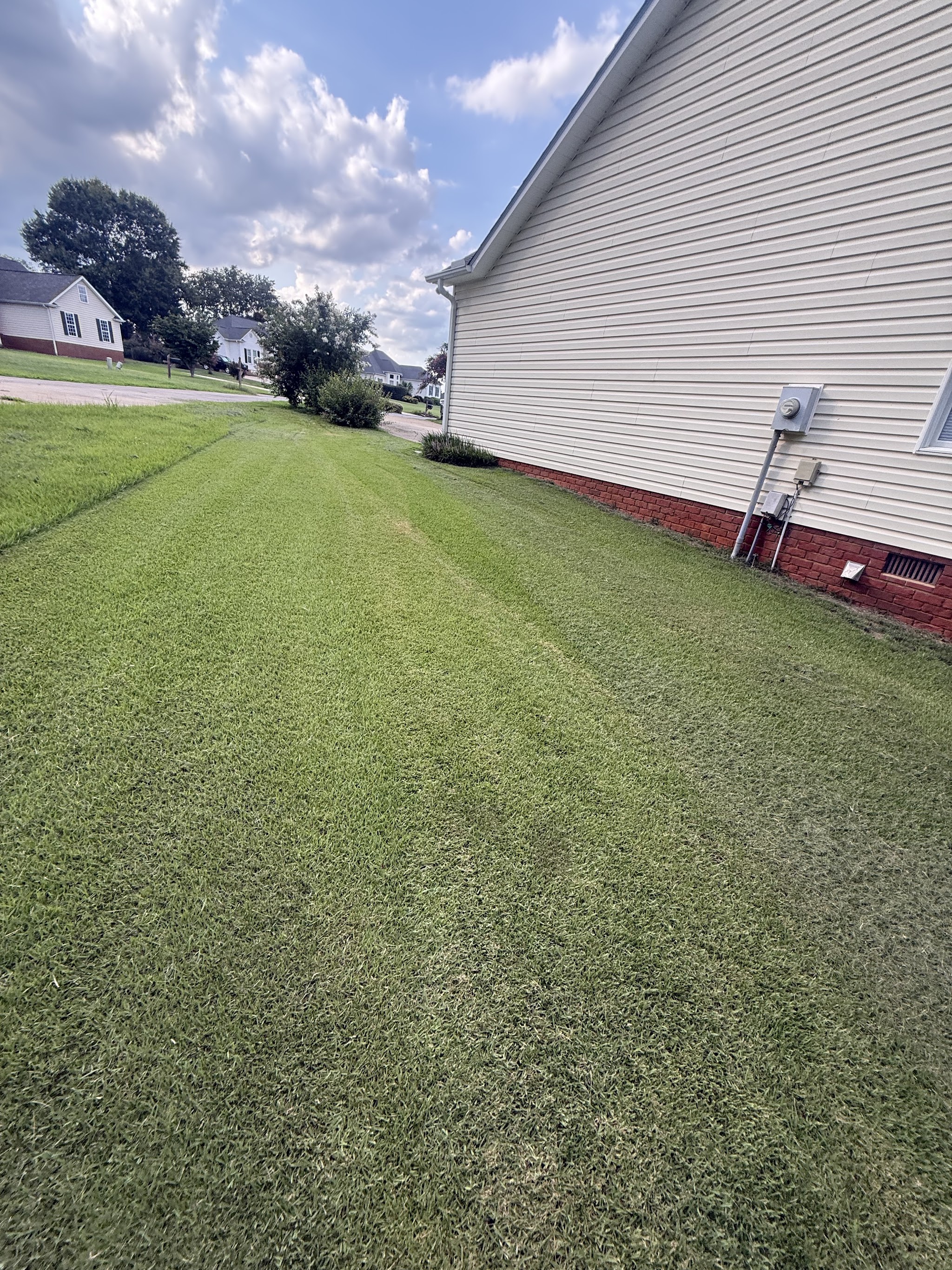 Evenly mowed side lawn running along a house
